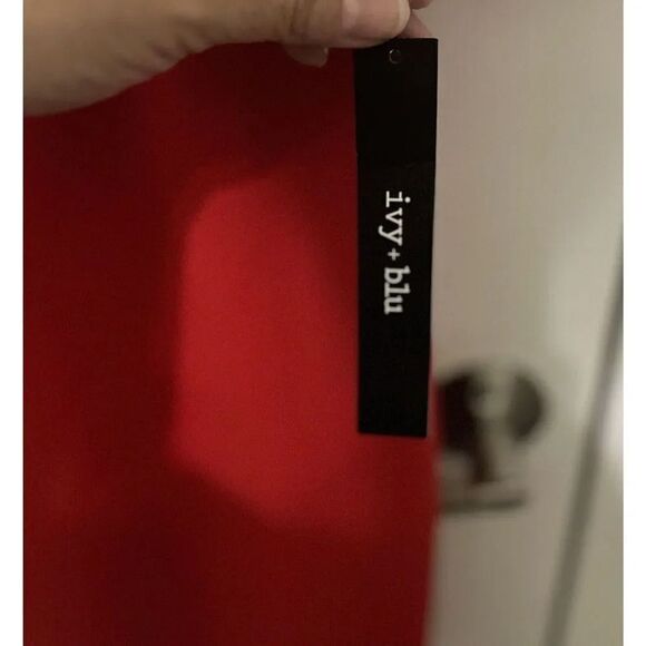 NWT Ivy + Blue Red 3/4 Victorian Sleeve Dress Size 8 - Picture 4 of 6